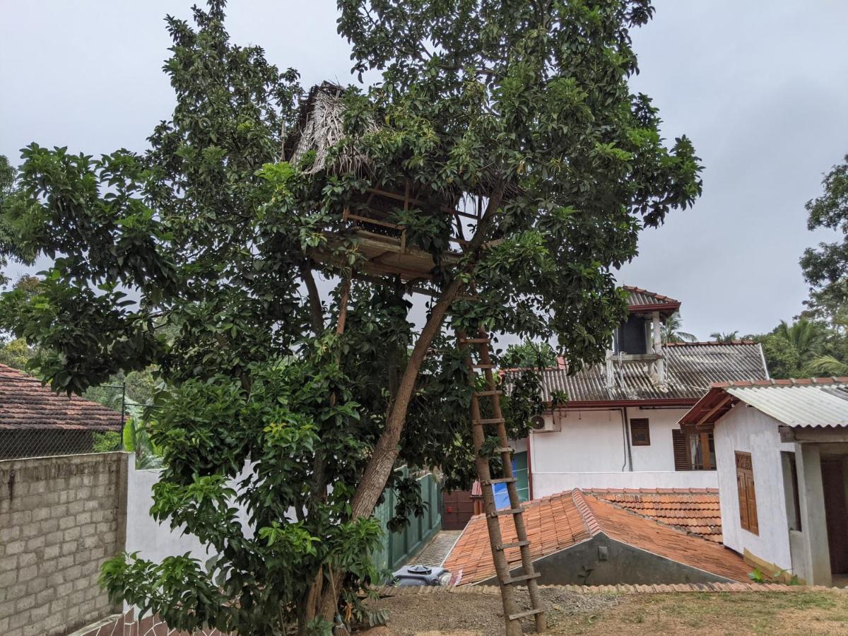 Serendip Villa Holiday Home Talalla Sri Lanka Dış mekan fotoğraf